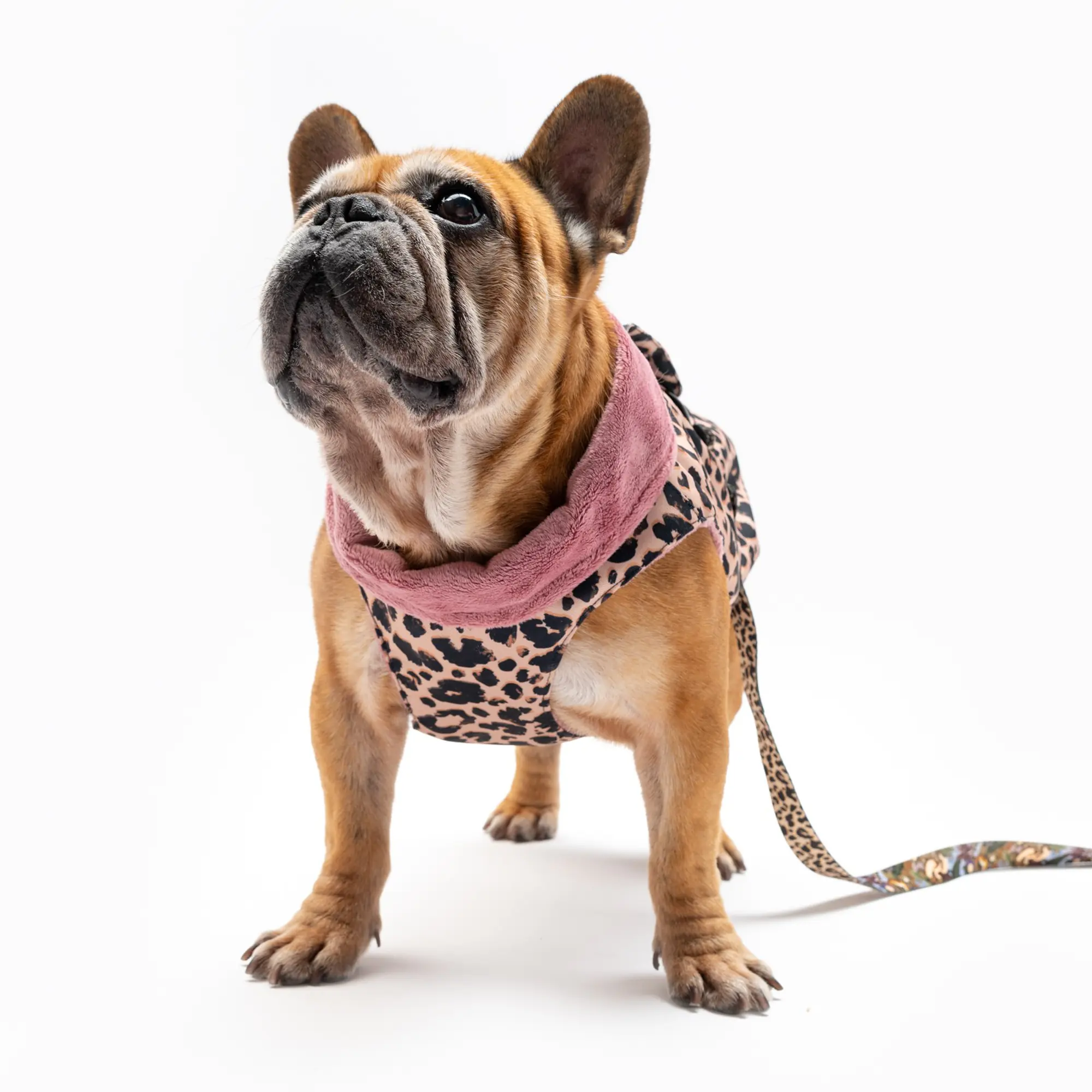 Dog jacket "Respect the wildness" - Master