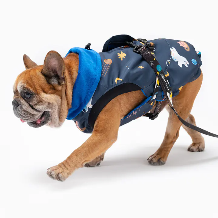 Kurtka dla psa "I need space" - Master