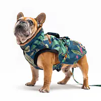 Dog jacket "Dogollage" - Master