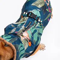 Dog jacket "Dogollage" - Master