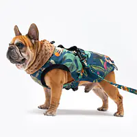 Dog jacket "Dogollage" - Master