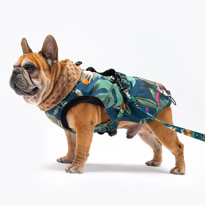Dog jacket "Dogollage" - Master