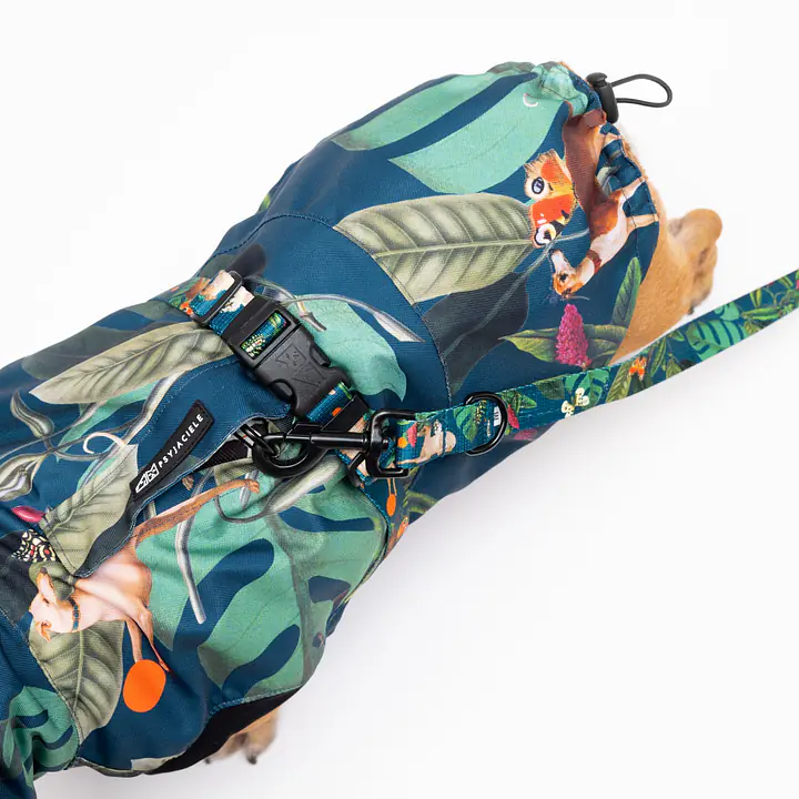 Dog jacket "Dogollage" - Master