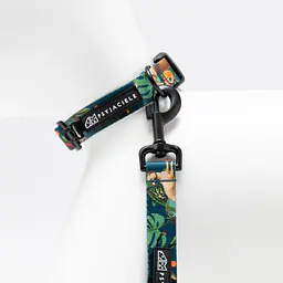 Obroża dla psa lub kota "Psikolaż" - Master