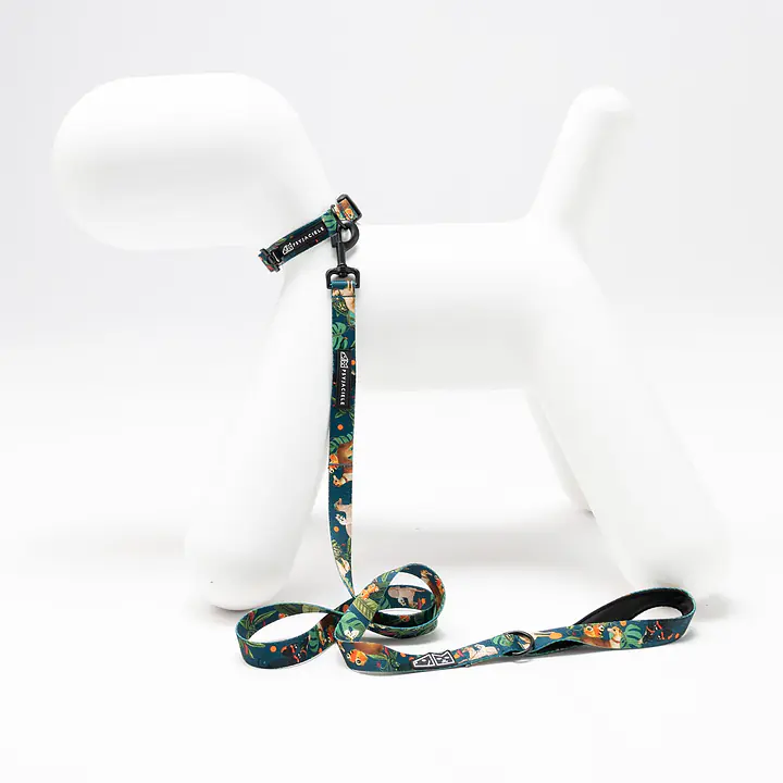 Obroża dla psa lub kota "Psikolaż" - Master