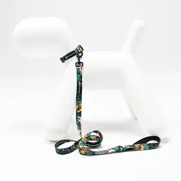 Obroża dla psa lub kota "Psikolaż" - Master