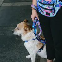 Fanny pack "Psychofan" - Master