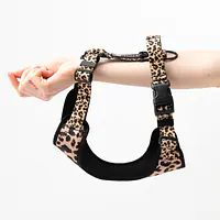 "Respect the wildness" full pressure-free harness - Master