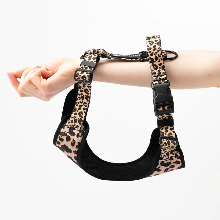 "Respect the wildness" full pressure-free harness - Master