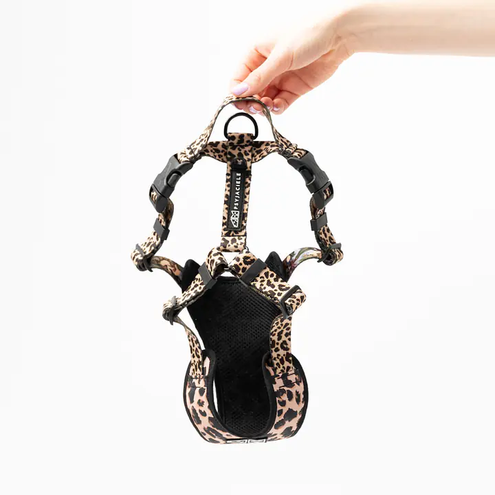 "Respect the wildness" full pressure-free harness - Master