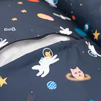 Pontoon "I need space" - Master