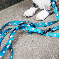 COPY OF Adjustable leash "Doggomaki"  - Master