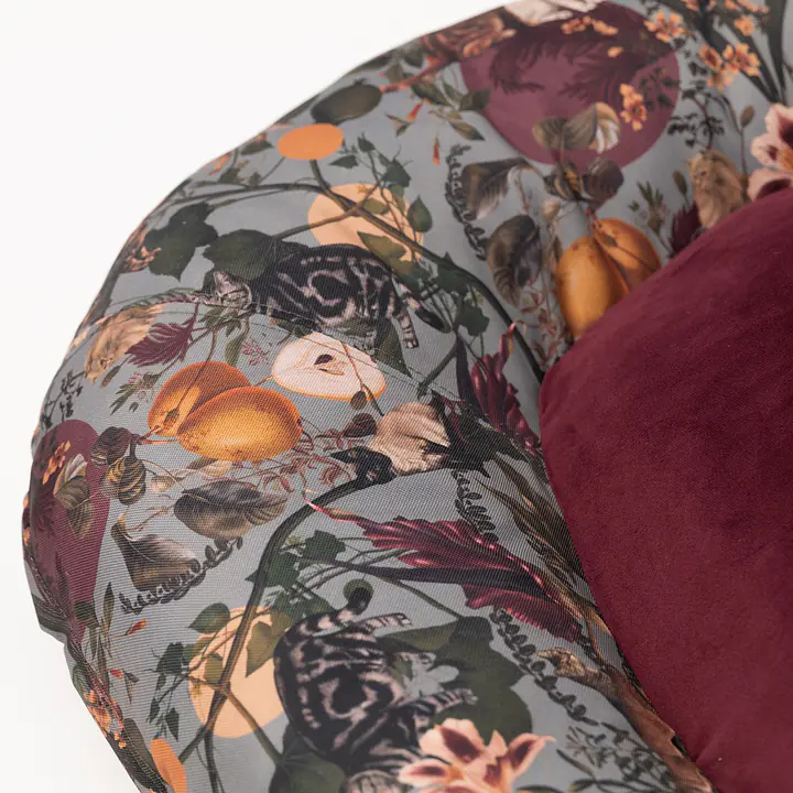 Pontoon "Catollage" - Master