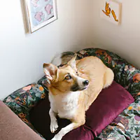 Pontoon "Catollage" - Master