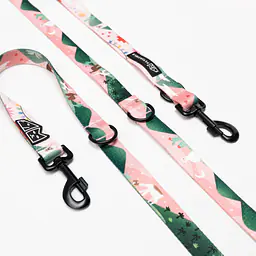 Adjustable leash "No Drama Lama" - Master