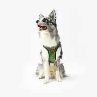 WYPRZEDAZ Szelki bezuciskowe dla psa lub kota "Bug off" - Master