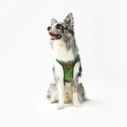 WYPRZEDAZ Szelki bezuciskowe dla psa lub kota "Bug off" - Master