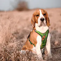 WYPRZEDAZ Szelki bezuciskowe dla psa lub kota "Bug off" - Master