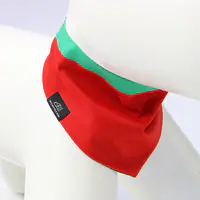 Bandanka "Zawstydzona biel" - Master