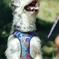 WYPRZEDAZ Szelki bezuciskowe dla psa lub kota "Psychofanka" - Master