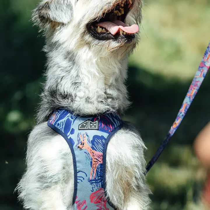 WYPRZEDAZ Szelki bezuciskowe dla psa lub kota "Psychofanka" - Master