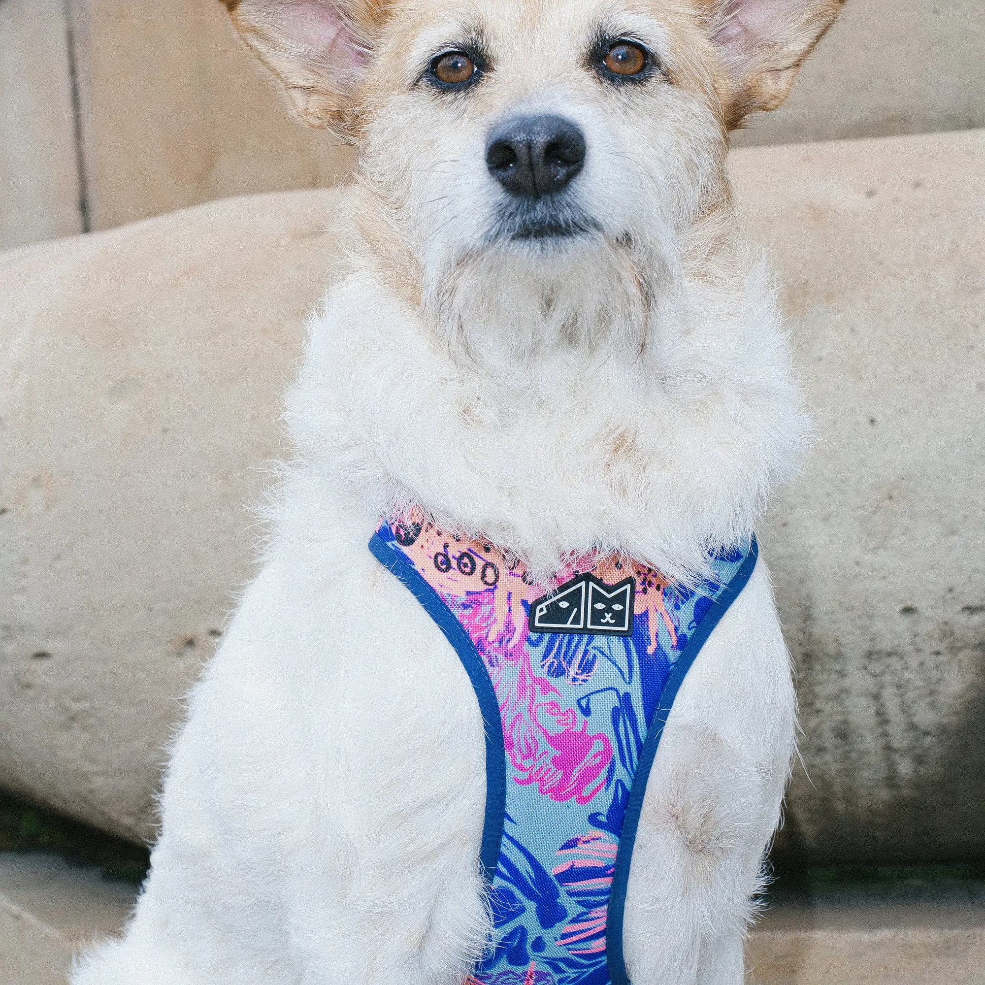 WYPRZEDAZ Szelki bezuciskowe dla psa lub kota "Psychofanka" - Master