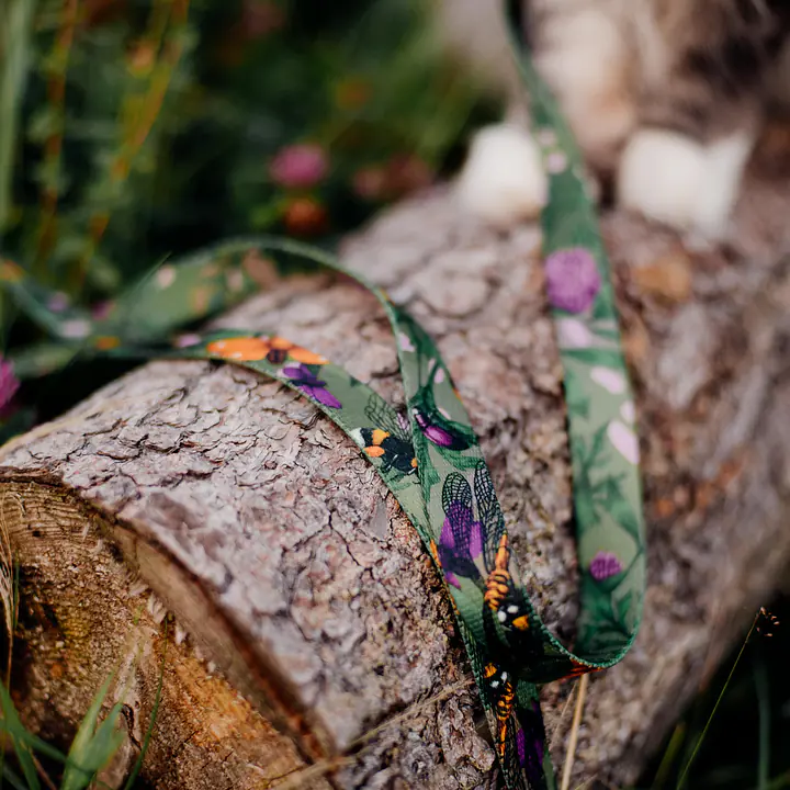 "Bug off" city leash - Master