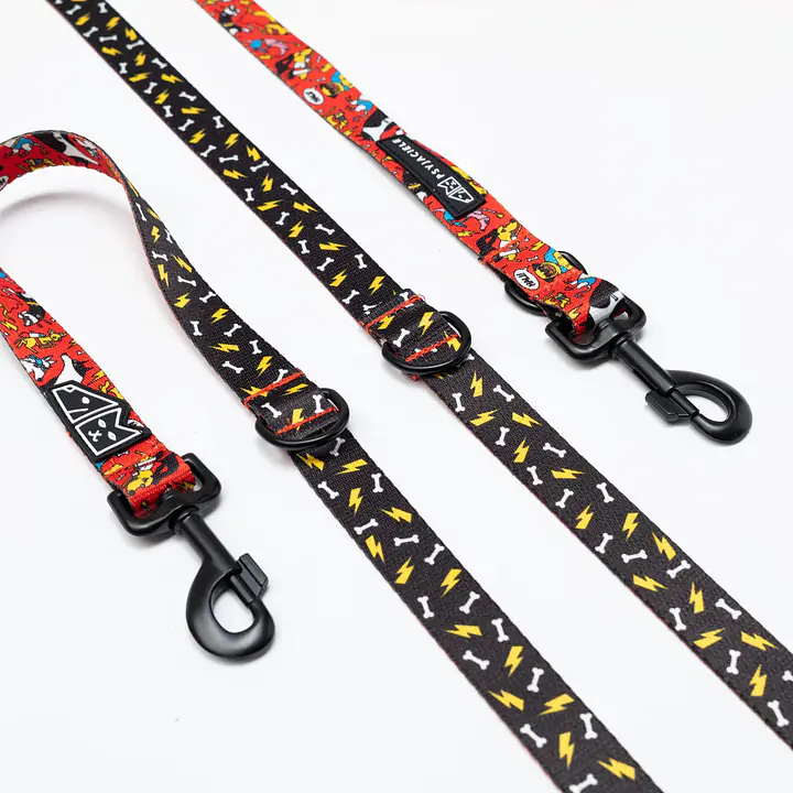 Smycz przepinana dla psa lub kota "Pies, który lata najlepsze ma za sobą" - Master