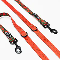Adjustable leash "Strawberry Fields Forever"  - Master