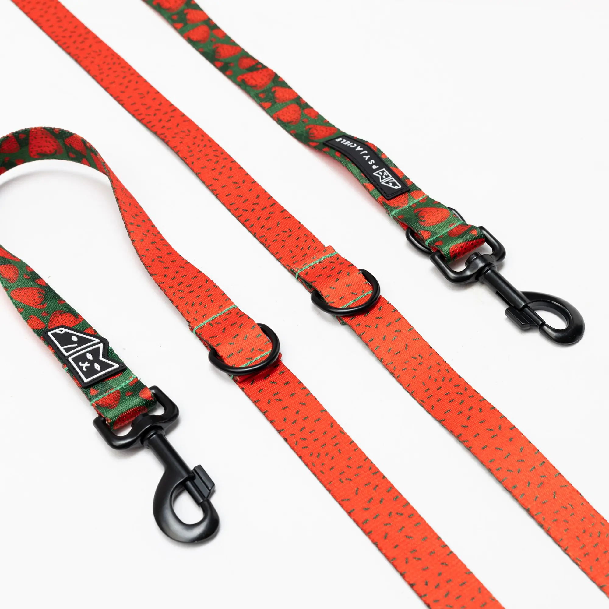 Adjustable leash "Strawberry Fields Forever"  - Master