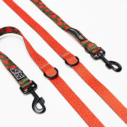 Adjustable leash "Strawberry Fields Forever"  - Master