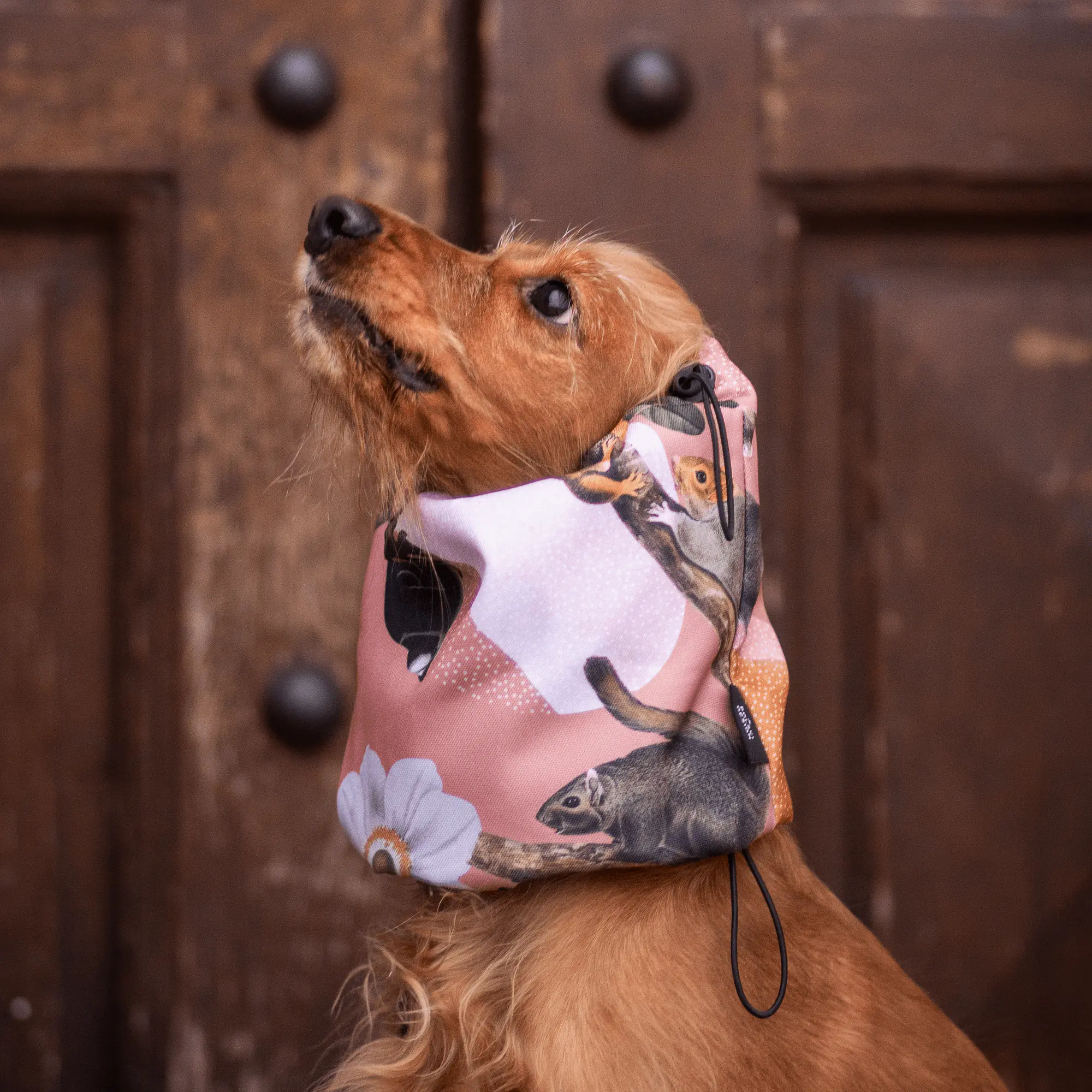 Snood dla psa  - Master