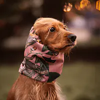 Snood dla psa  - Master