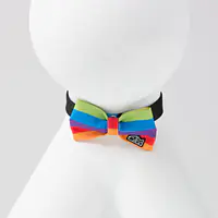 Bow tie "Love, Equality, Teethers"  - Master