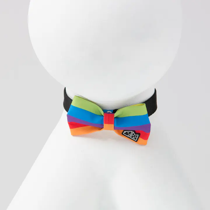 Bow tie "Love, Equality, Teethers"  - Master
