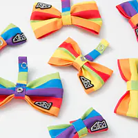 Bow tie "Love, Equality, Teethers"  - Master