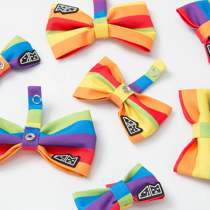 Bow tie "Love, Equality, Teethers"  - Master