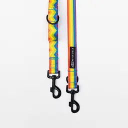 Adjustable leash "Love, Equality, Teethers"  - Master