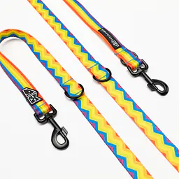 Adjustable leash "Love, Equality, Teethers"  - Master