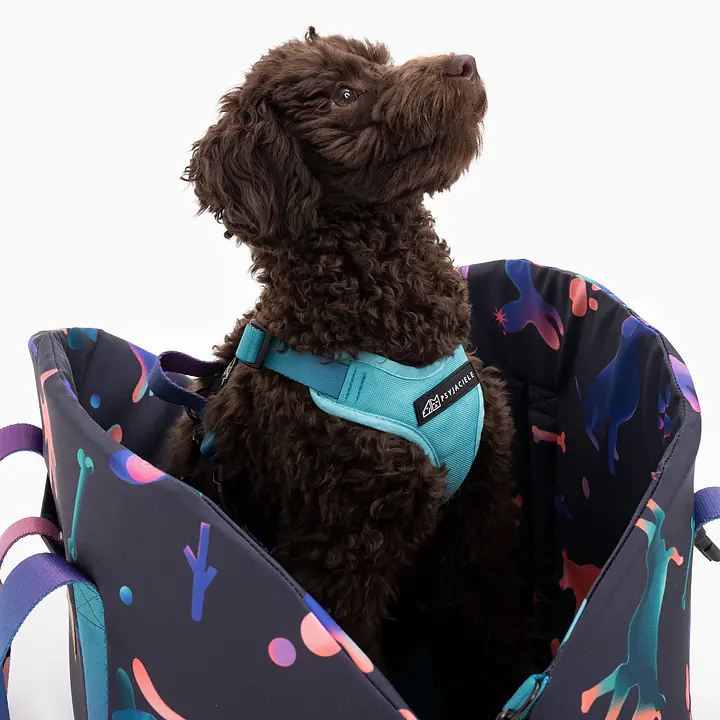 Torba 3w1 dla psa lub kota "I need space" - Master