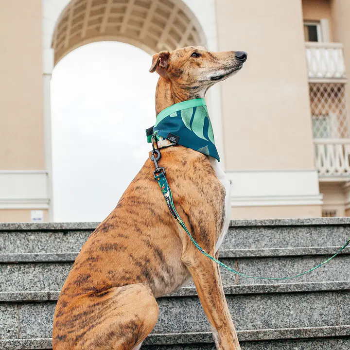 Bandanka "Psikolaż" - Master