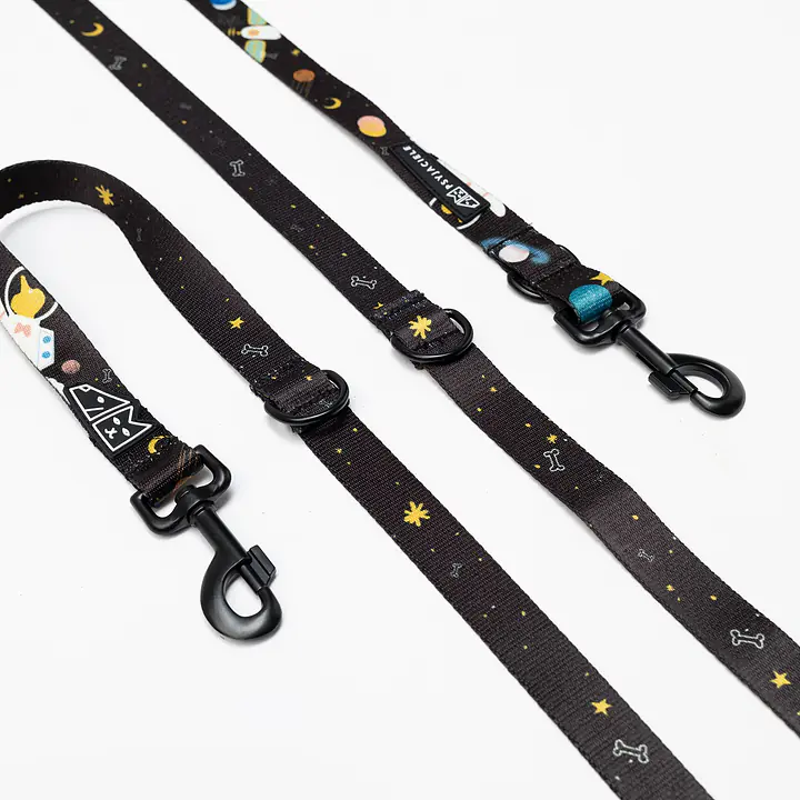 Smycz przepinana dla psa lub kota "I need space" - Master