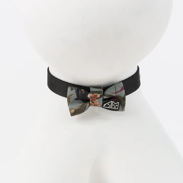 Muszka "Kotolaż" - Master