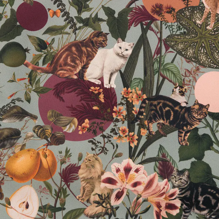 Muszka "Kotolaż" - Master