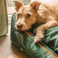 WYPRZEDAŻ Kanapa "Welcome to the jungle" - Master