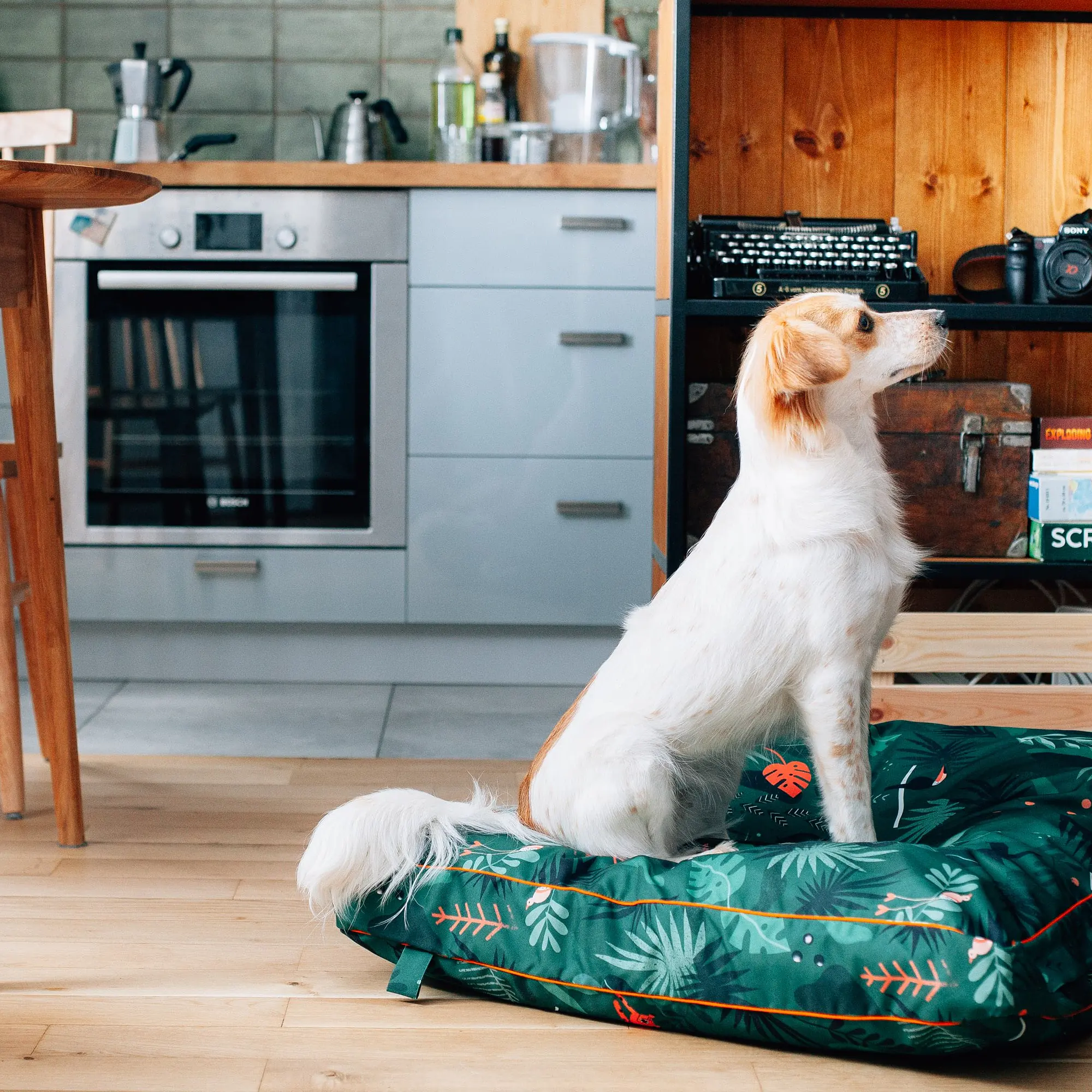 WYPRZEDAŻ Legowisko Poducha dla psa lub kota "Welcome to the jungle" - Master