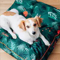 WYPRZEDAŻ Legowisko Poducha dla psa lub kota "Welcome to the jungle" - Master