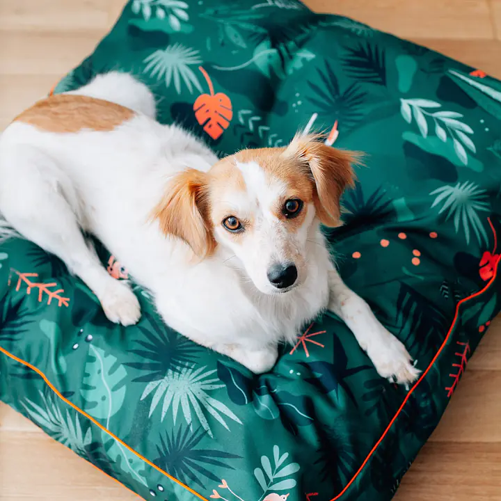 WYPRZEDAŻ Legowisko Poducha dla psa lub kota "Welcome to the jungle" - Master