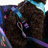 Torba 3w1 dla psa lub kota "I need space" - Master