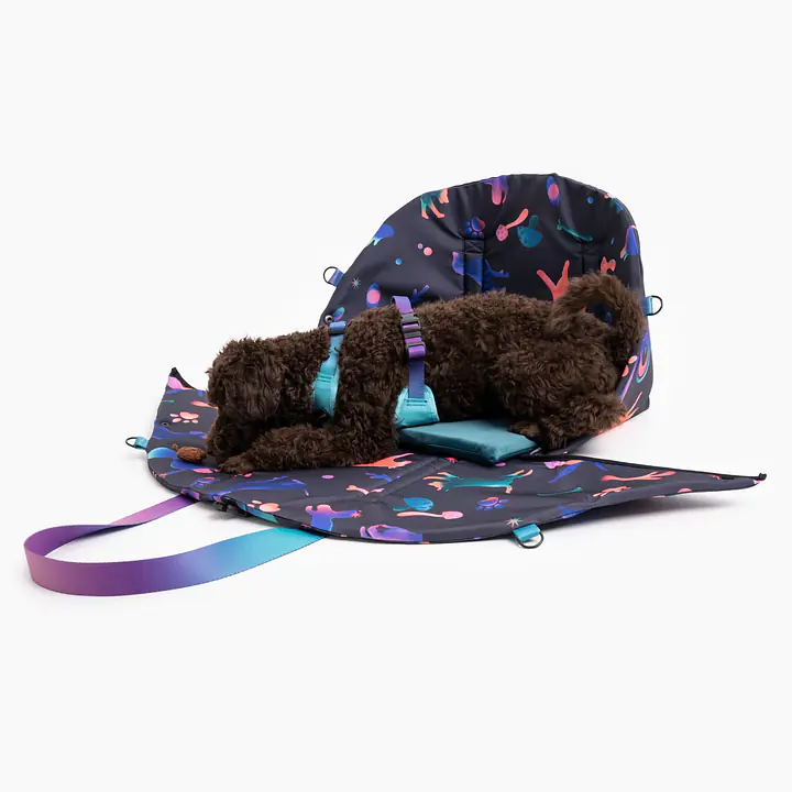 Torba 3w1 dla psa lub kota "Pies on the beach" - Master